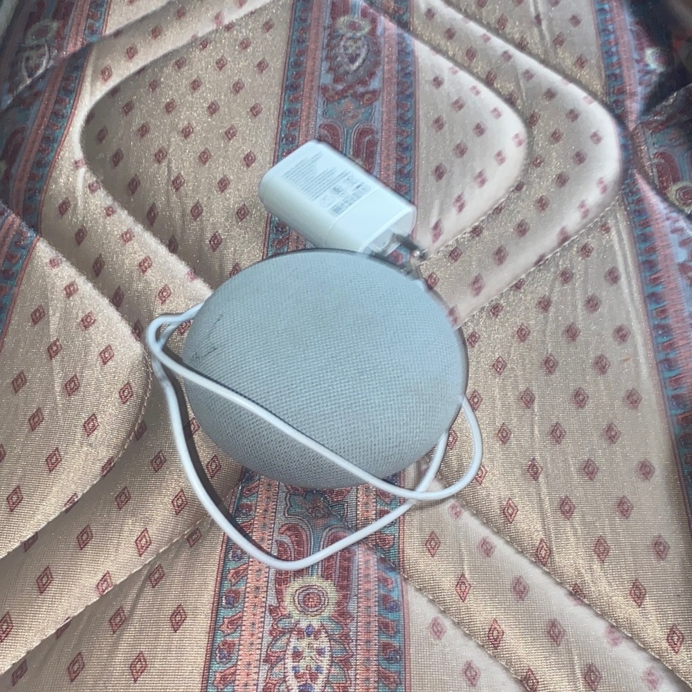 Gray Smart Speaker with Charger